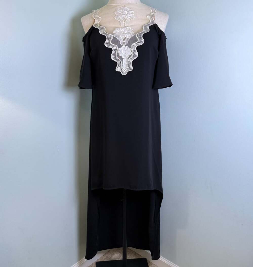 Anne Fontaine NWT Women 42 US 10 Marlene Black Lace Illusion High Low Gown Dress
